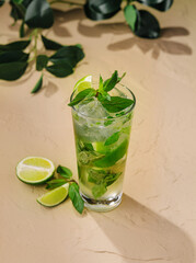 Mojito summer citrus cocktail with lime and mint