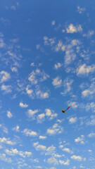 kite and sky 