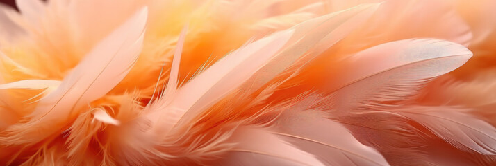 close up of pink feathers,  peach fuzz feathers .This asset is suitable for fashion, beauty, and luxury design projects, adding a touch of elegance and sophist