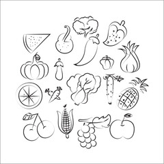 Vegetables doodle drawing collection. vegetable such as carrot, corn, , cabbage, cauliflower pumpkin etc. Hand drawn doodle