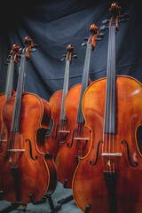 Row of violins arranged neatly on a stand in a room.