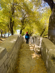 Person walking in the autumn park