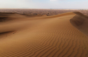 Dubai desert