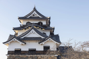 Fototapeta premium View of Hikone castle in the evening