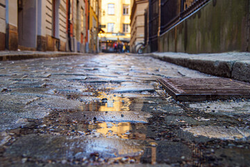 a close-up of wet cobblestones
