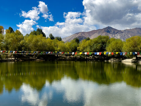 reflection of clouds and trees in a lake in the himalayan mountains. Taken at Nako lake, spiti valley, himachal pradesh