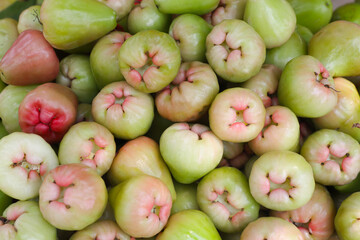 The tropical fruit wax apples on the open market