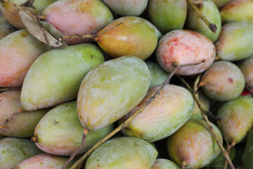 Bangalora mangoes for sale in street shop