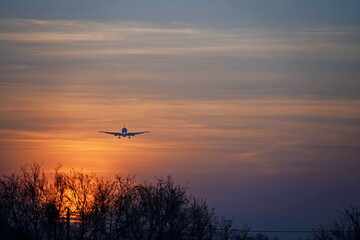 The plane flies in the sky during sunset.