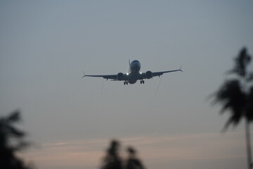 The plane is flying in the sunset evening sky.