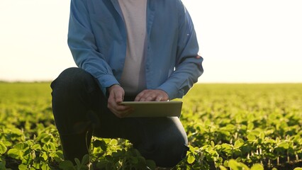 Agriculture farmer work hand digital tablet. germ sprouts field. agricultural engineer ensures...