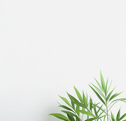 Green plant on the white background. Minimal design with space for text. Natural Template for presentation or product. Nature wallpaper. Minimalist concept. Beautiful Nature Flyer.