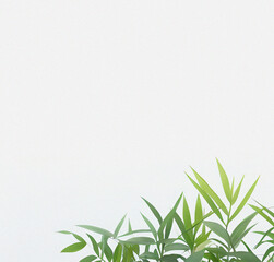 Fototapeta na wymiar Green plant on the white background. Minimal design with copy space. Natural Template for presentation or product. Nature wallpaper. Minimalist concept. Beautiful Nature Flyer.