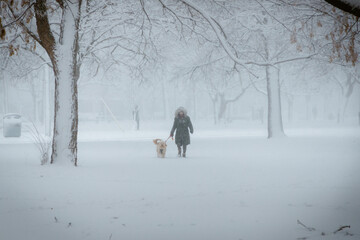 Snow Storm in the Park