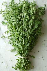 Fresh bundle of green arugula leaves with delicate flowers, tied together and laid on a pristine white marble surface. 