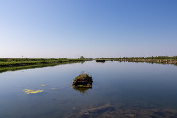 Scenic view of Parco del Delta del Po in Veneto, Italy. Untouched wetlands and nature in Po Delta. Raw wilderness on Via delle Valli Rovigo Province. Large lake in serene unspoiled natural habitat