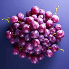 Fototapeta premium Black or purple grapes at agriculture field