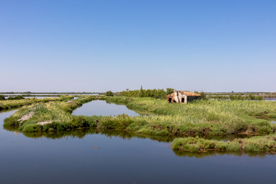 Abandoned country house in Rosolina in Parco del Delta del Po in Veneto, Italy. Untouched wetlands and nature in Po Delta. Wilderness on Via delle Valli. Large lake in serene unspoiled natural habitat