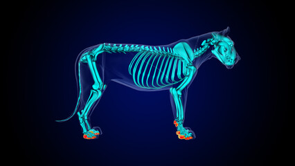 back pads of lion anatomy for medical concept 3D rendering