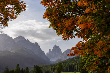 Golden colored trees in autumn with scenic view of the majestic mountain peaks of untamed Sexten Dolomites in South Tyrol, Italy, Europe. Wanderlust hiking concept in Italian Alps. Tranquil atmosphere - obrazy, fototapety, plakaty