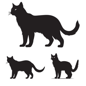 Black cat silhouette, Hunting Cat silhouette vector icon isolated on white background