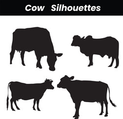 Cows silhouette