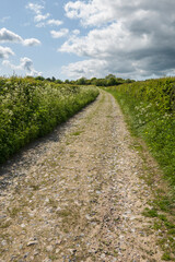 Fototapeta na wymiar Farm track with summer hedgerows on either side, Old Burghclere, Hampshire, England, United Kingdom, Europe