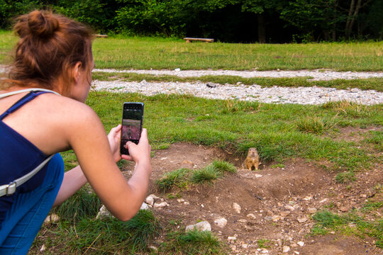 Taking photo of an European ground squirrel in Slovakia
