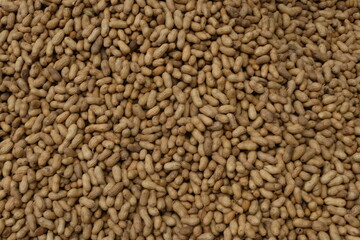 A stack of raw peanuts or groundnuts.