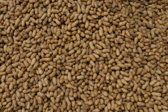 A stack of raw peanuts or groundnuts.
