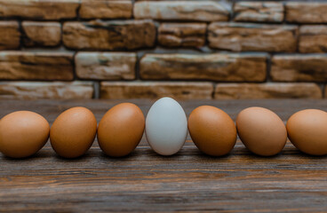 Chicken eggs on the background of a stone wall, six brown and one in the center white
