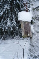 Bird House on Snow-Covered Tree