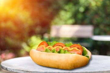 Soft tasty fresh fast food hot dog with sausage