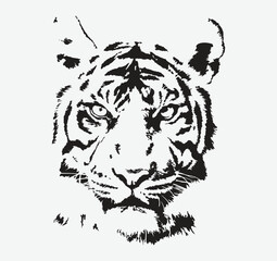 Head of a wolf. Styling the head for your design. Vector illustration, isolated objects.
