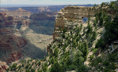 View of the Grand Canyon, North Rim, Arizona, United States