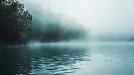 Foto auf Acrylglas Morgen mit Nebel Dark mist fogy forest swamp nature wallpaper background