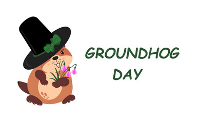 Groundhog Day. Cartoon marmot with snowdrops.