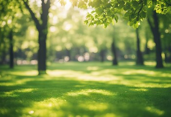 Naklejka premium Abstract blurred green color nature public park outdoor background at spring and summer season with sunlight effect and vintage color tone for design concept stock photoDefocused Backgrounds Yard