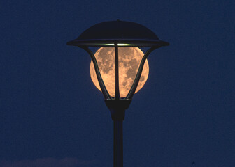 księżyc w pełni na tle latarni ulicznej wygląda jak lampa - obrazy, fototapety, plakaty