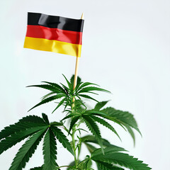 Fototapeta na wymiar Legalized cannabis in Germany 2024, symbolized by a green leaf with the national flag on it, represents progressive social change