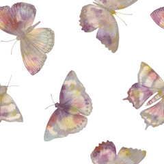 Colorful abstract butterflies isolated on white background, seamless pattern drawing in watercolor