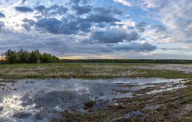 A large puddle in the middle of a plowed field. Swampy field, evening rural landscape. A strip of forest on the horizon. Sunset sky.