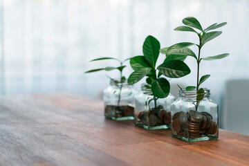 Debt-free lifestyle concept shown by money savings jar filled with coins and growing plant for sustainable financial planning for retirement or eco subsidization for environment protection. Quaint - obrazy, fototapety, plakaty