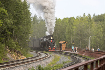 steam train in the forest