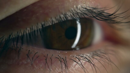 Detail macro close up of eyeball iris pupil in focus, extreme intense stare gaze