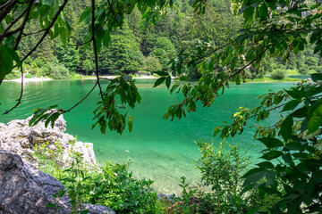Scenic view of crystal clear turquoise water of alpine Lake Predil in Julian Alps, Tarvisio, Friuli...