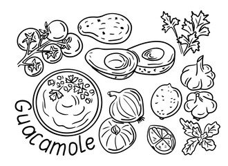 Guacamole ingredients doodle set. Food collection