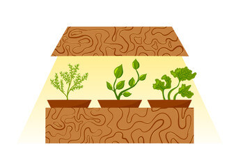 Kitchen greenery, plant in pot, lamp for growing herbs, seedling lighting. Vector illustration. Rosemary, lettuce, bay leaf