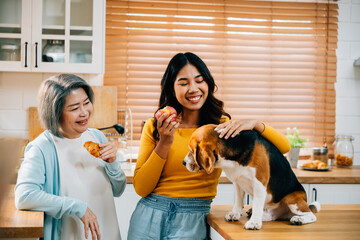 A heartwarming kitchen portrait features a young Asian woman, her mother, and their beagle dog,...