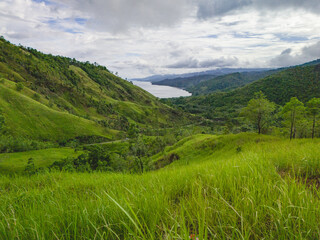 Fototapeta na wymiar Beautiful Green Grass Hill in West Seram Regency, Maluku, Indonesia